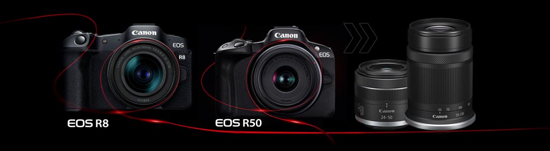 Canon Neuheiten EOS R8 und EOS R50